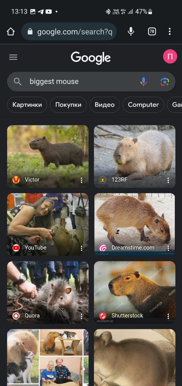 большая мышь