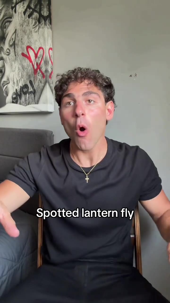 . Spotted lantern и