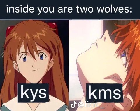 inside you are two wolves: