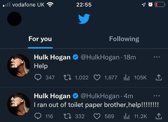 vodafone 22:55 For you Following Hulk Hogan @HulkHogan-18m Нер 347 1,022 1,677 105к Hulk Hogan ran out of toilet paper brother,help!!!!!!!! On 2332 589 Шик 4,
