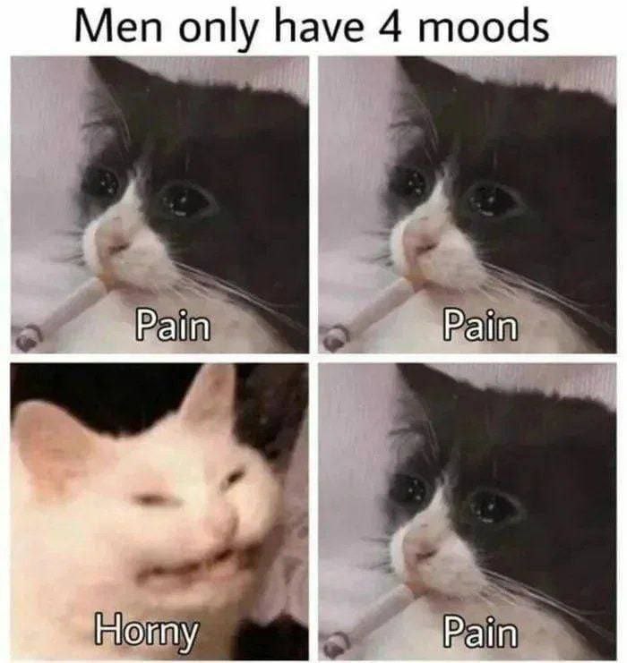 Men only have 4 moods Pain Ногпу Pain