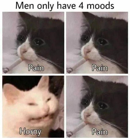 Men only have 4 moods Pain Ногпу Pain