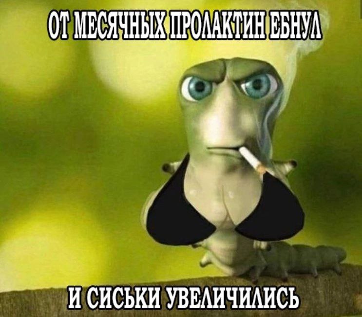 И СИСЬКИ УВЕЛИЧИЛИСЬ