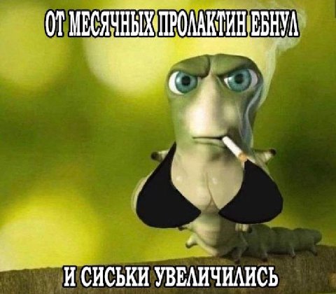 И СИСЬКИ УВЕЛИЧИЛИСЬ