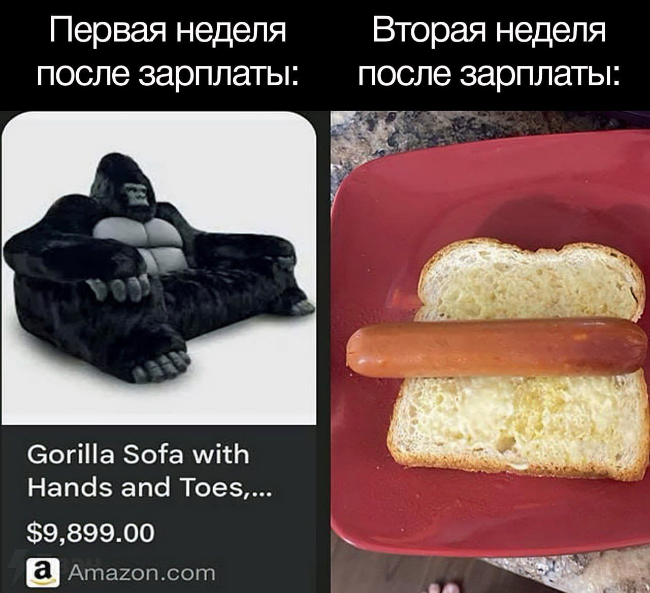 Первая неделя Вторая неделя после зарплаты после зарплаты: Gorilla Sofa with Hands and Toes.... $9,899.00 Amazon.com