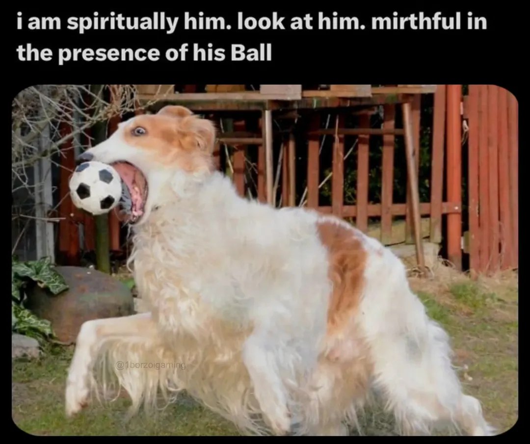 Гат spiritually him. look at him. mirthful in the presence of his Ball tid