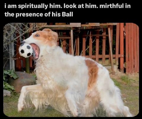 Гат spiritually him. look at him. mirthful in the presence of his Ball tid