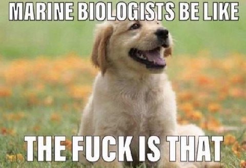 FUCK
