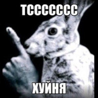 ХУЙНЯ