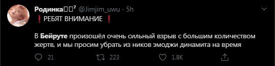 Родинка_ РЕБЯТ ВНИМАНИЕ В Бейруте произошел очень сильный взрыв с большим количеством жертв, и мы просим убрать из ников эмоджи динамита на время