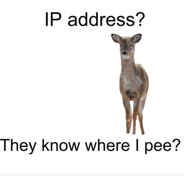 address? They know where рее?