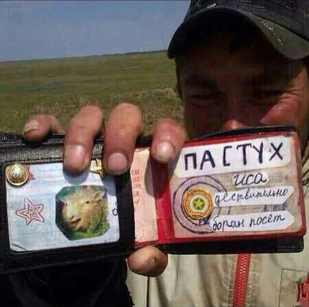 We ПАСТУХ у Littl я