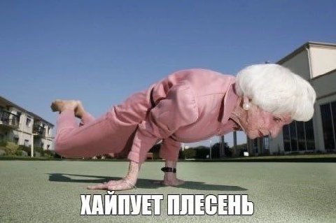 КАЙПУЕТ ПЛЕСЕНЬ