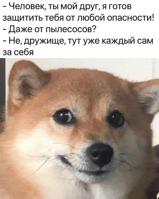 Человек, ты мой друг, я готов защитить тебя от любой опасности! Даже от пылесосов? Не, дружище, тут уже каждый сам за себя