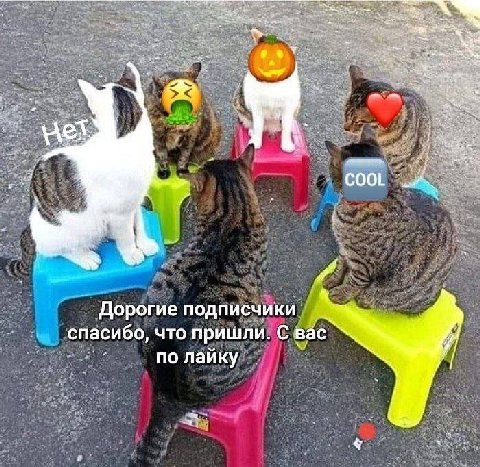 Hel COOL Дорогие подписчики спасибо, что пришли. С вас по лайку