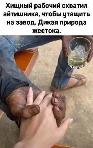 Хищный рабочий схватил айтишника, чтобы утащить на завод. Дикая природа жестока.