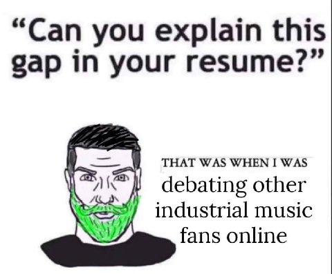 “Can you explain this gap in your resume?” THAT WAS WHEN I WAS debating other industrial music fans online