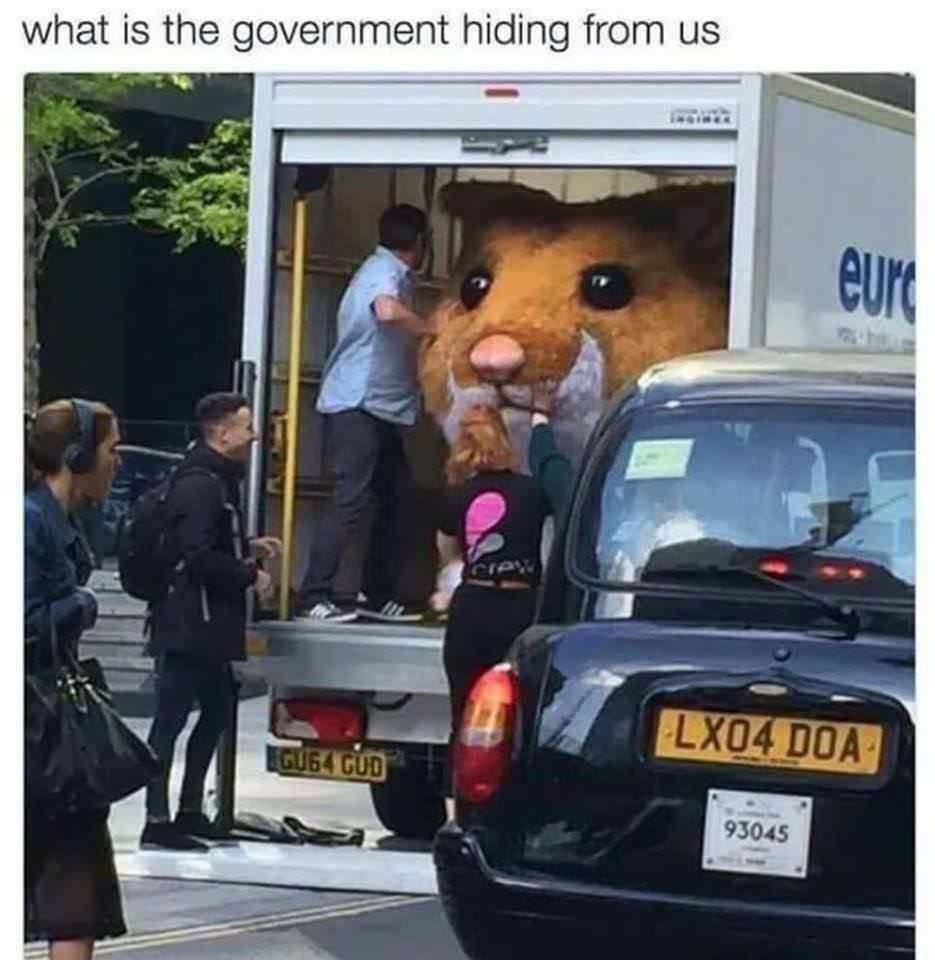 what is the government hiding from