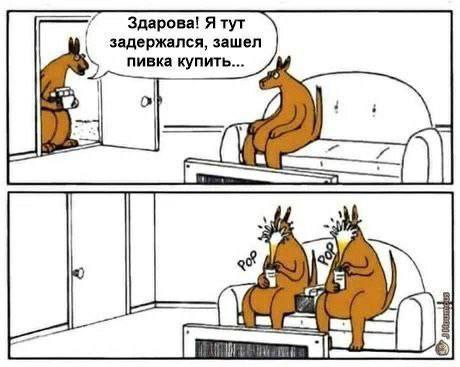 Здарова! Я тут задержался, зашел пивка купить... 15 5