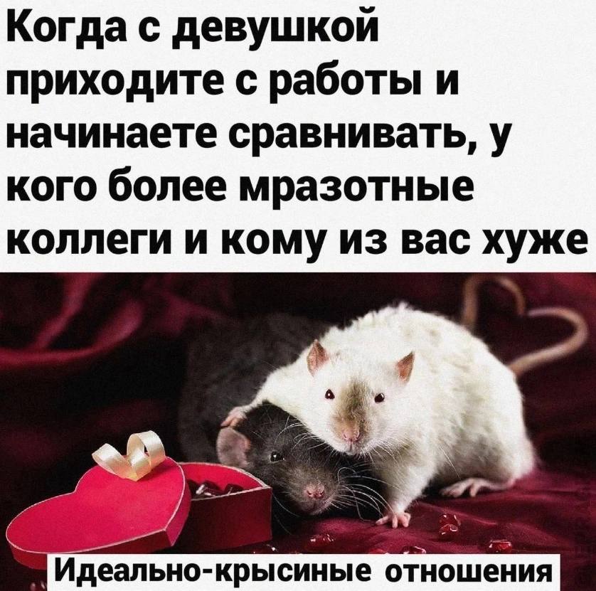 Когда с девушкой приходите с работы и начинаете сравнивать, у кого более мразотные коллеги и кому из вас хуже