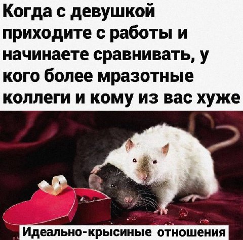 Когда с девушкой приходите с работы и начинаете сравнивать, у кого более мразотные коллеги и кому из вас хуже