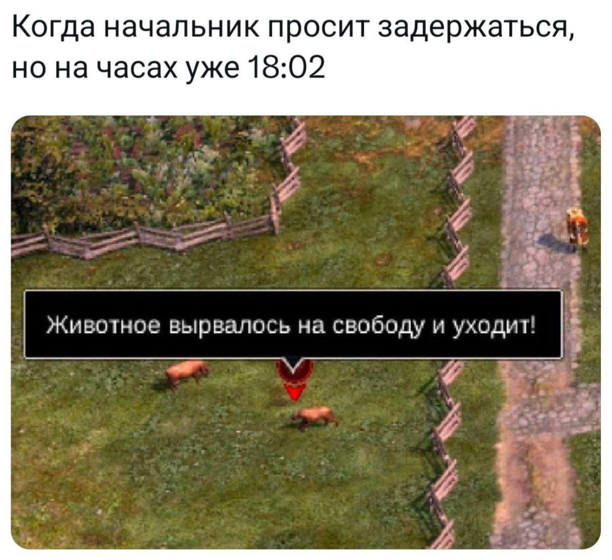 Когда начальник просит задержаться, но на часах уже 18:02 Животное вырвалось на свободу и уходит! ‘a