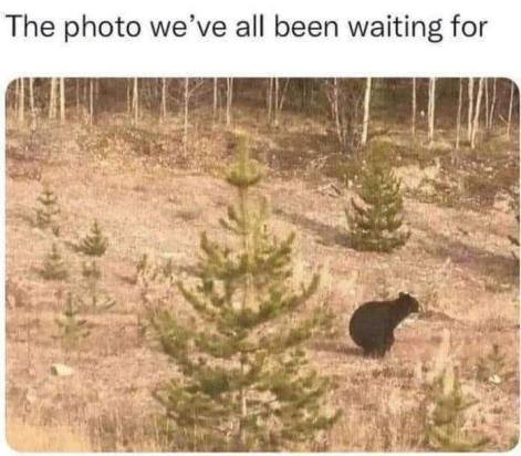 The photo we’ve all been waiting for