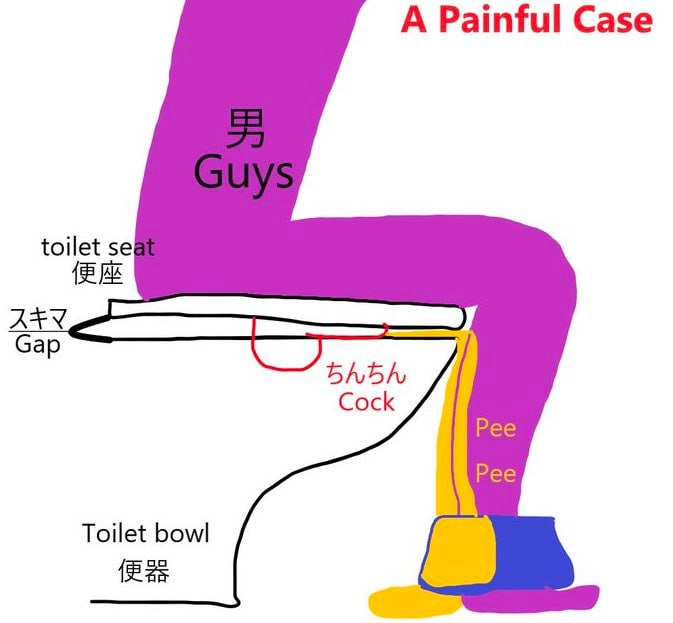 А Painful Case toilet ДАХ Сар БАБА, Cock Pee Pee Toilet bowl