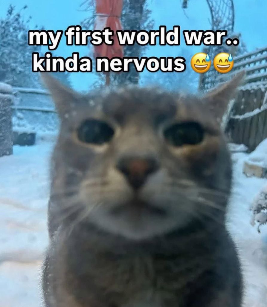 my first world war. kindanervous