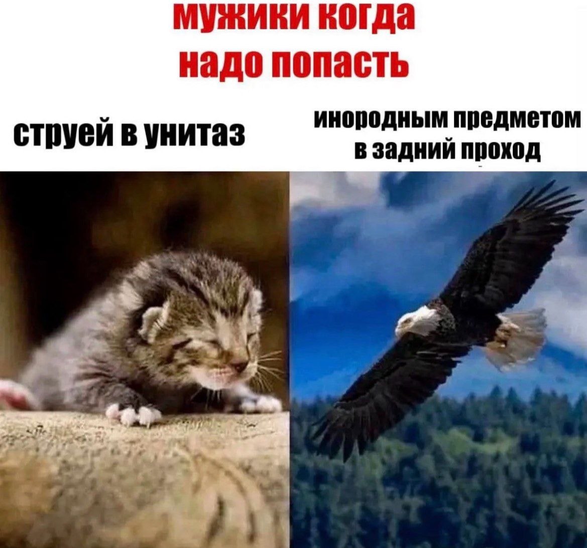 мужики когда надо попасть инородным предметом струей в унитаз в задний проход