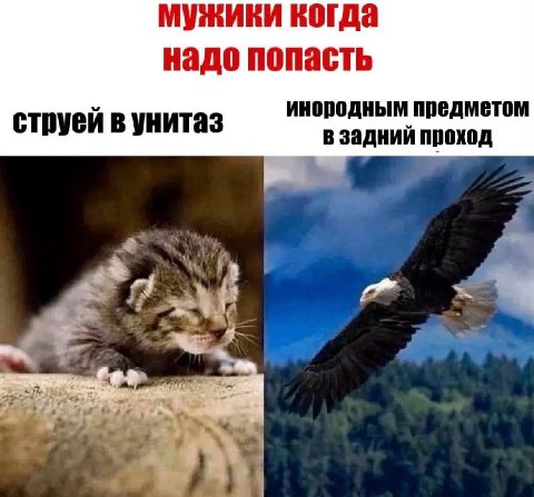 мужики когда надо попасть инородным предметом струей в унитаз в задний проход
