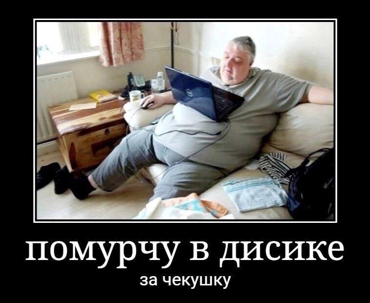 помурчу в дисике за чекушку
