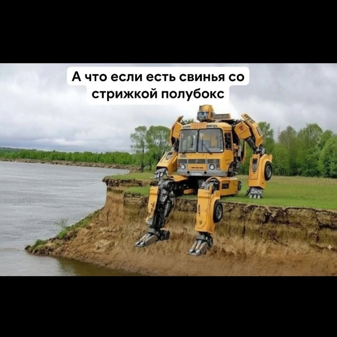 А что если есть свинья стрижкой полубокс