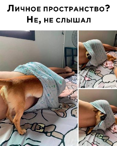 Личное прОСТРАНСТВО? НЕ, НЕ СЛЫШАЛ 4 у. С