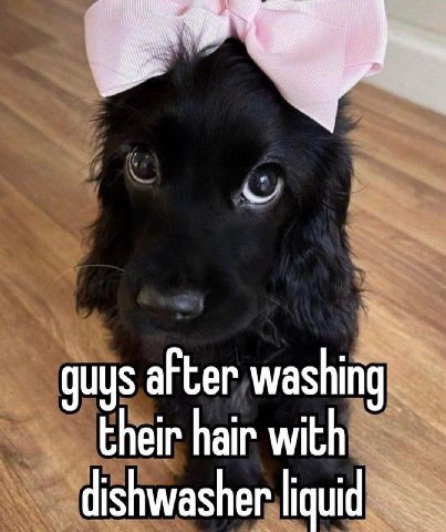 quys after washing their hair with dishwasher liquid