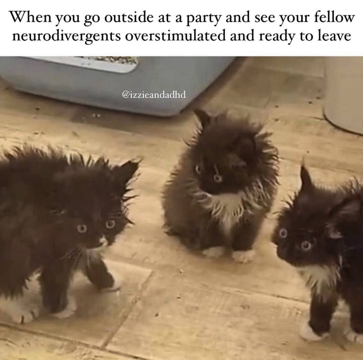 When you outside at a party and see your fellow neurodivergents overstimulated and ready to leave @izzieandadhd