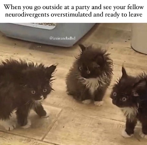 When you outside at a party and see your fellow neurodivergents overstimulated and ready to leave @izzieandadhd