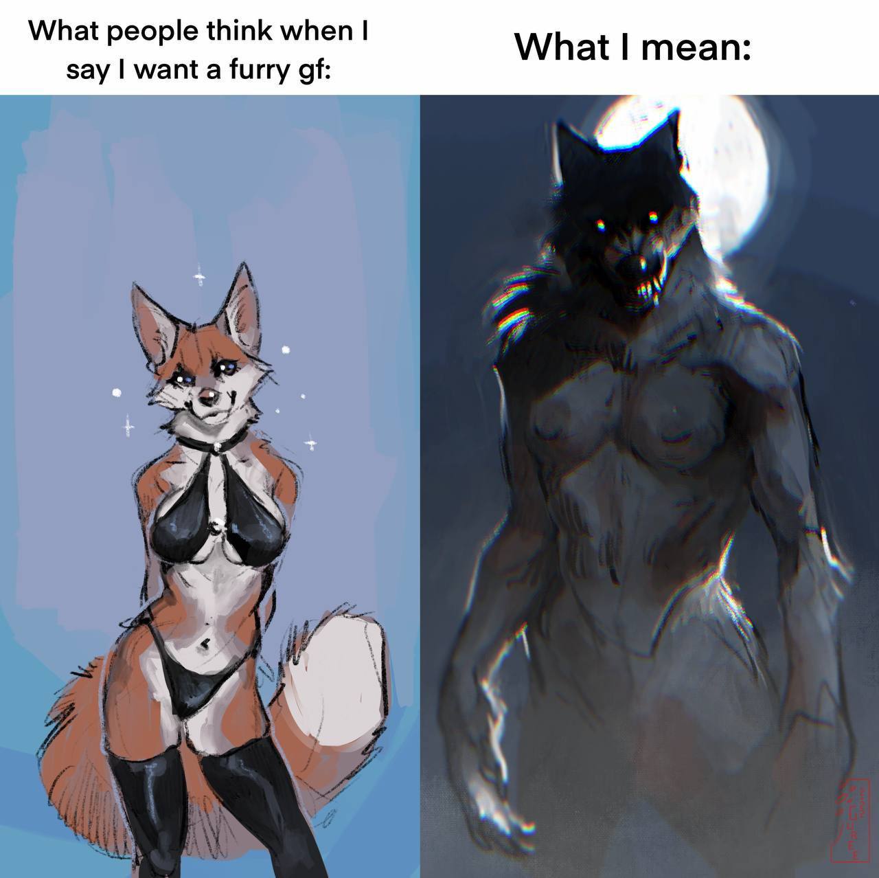 What people think when say want а furry What mean: