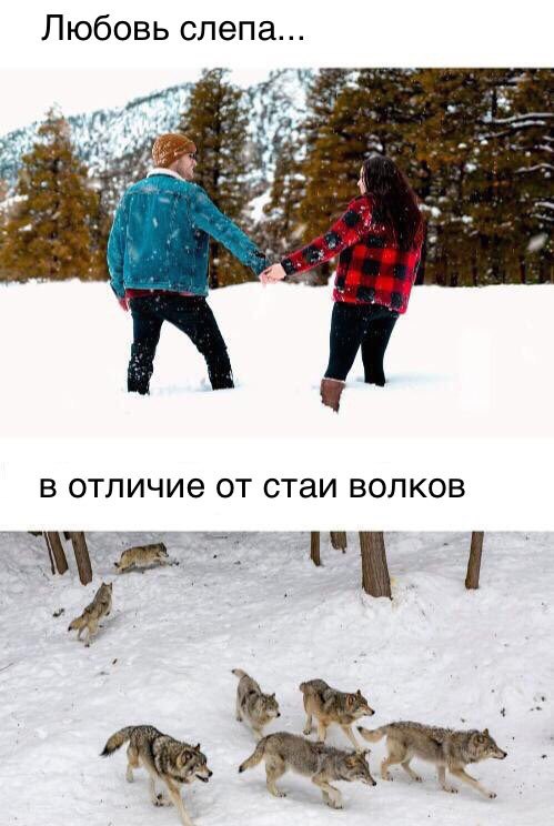 с днем святого валентпна