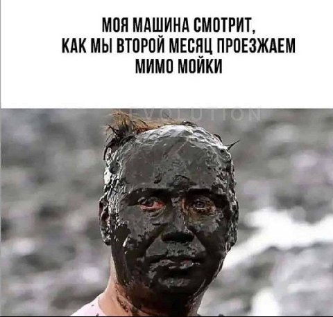 МОЯ МАШИНА СМОТРИТ, КАК МЫ ВТОРОИ МЕСЯЦ ПРОЕЗЖАЕМ МИМО МОИКИ