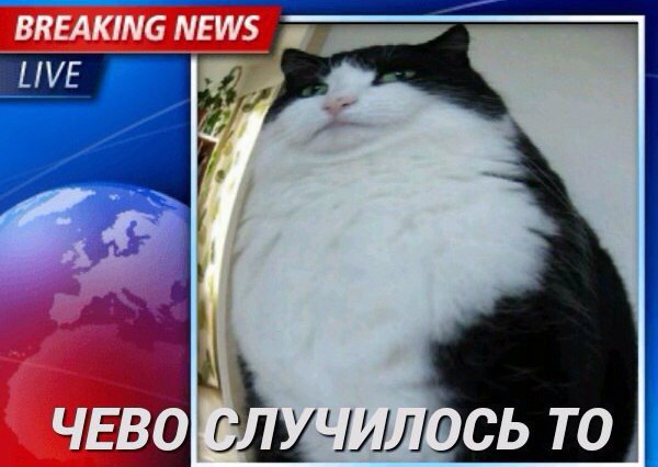 BREAKING NEWS ЧЕВО СЛУ ЧИЛОСЬ ТО