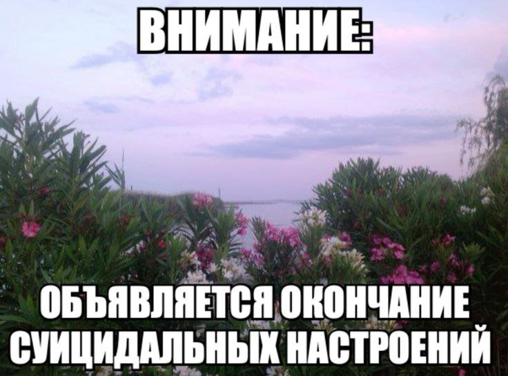 Так, всё. Постим смешное.