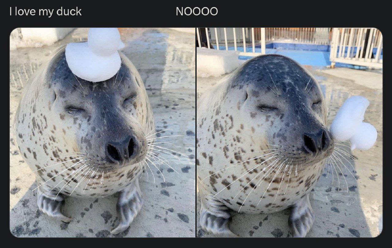 my duck NOOOO я oat i