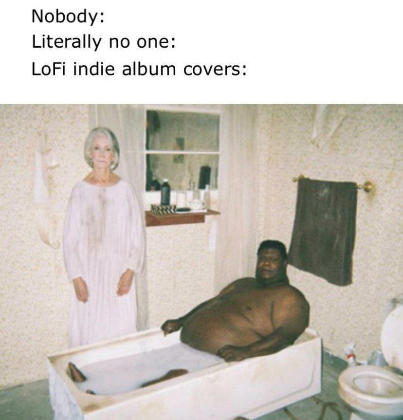 Nobody: Literally no one: LoFi indie album covers: