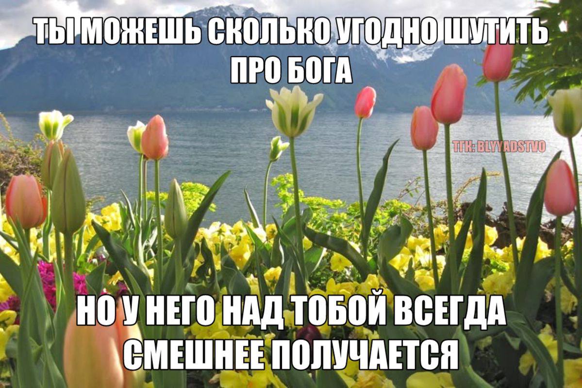 ШУТИТЬ СКОЛЬКО БОГ А 9 HOY HETO НАД ТОБОЙ ВСЕГ ДА \СМЕШНЕЕ ПОЛУЧАЕТСЯ