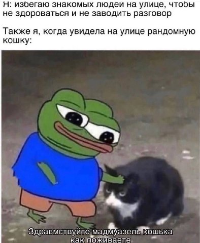 Я: избегаю знакомых людей на улице, чтобы не здороваться и не заводить разговор Также я, когда увидела на улице рандомную кошку: a Здравмствуите мадмуазель кошька как
