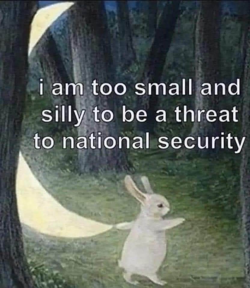 гат too small and Silly to be a threat to national security
