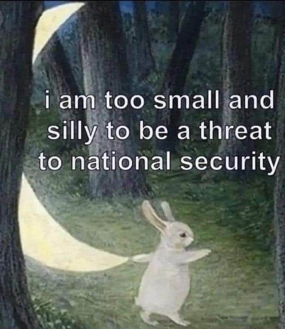 гат too small and Silly to be a threat to national security