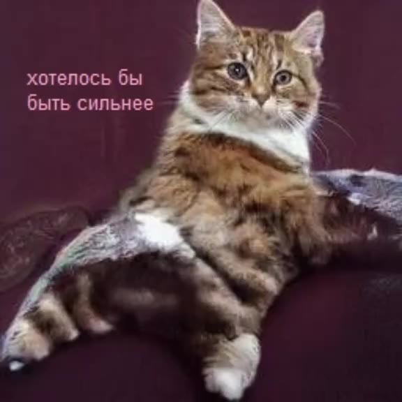 хотелось бы aac Wro быть сильнее