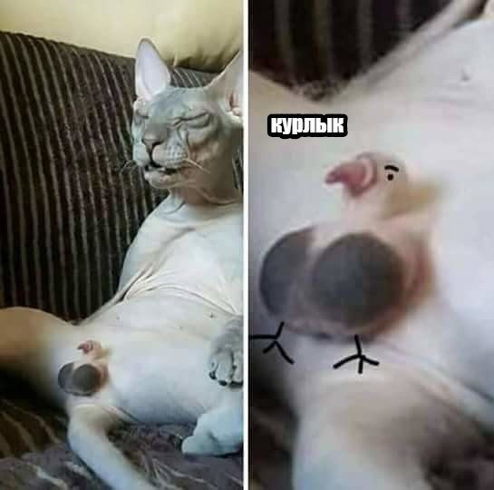 - > 2 ¥ ты | A Ш